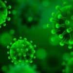 Dünyaya korku salan yeni mutasyon virüsle ilgili DSÖ'den son dakika açıklaması