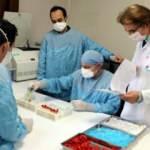 Faz- 2 çalışmaları devam eden yerli aşı, 25 Aralık'tan sonra gönüllülere uygulanacak