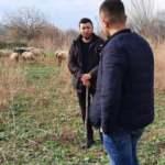 Havranlı &ccedil;oban, paylaştığı videolarla sosyal medya fenomeni oldu