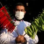 Kırmızı biber portakaldan 3 kat fazla C vitamini içeriyor! 