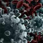 Koronavirüste mutasyon korkusu... Türkiye'de rastlandı mı?