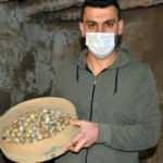 Prematüre kardeşine yumurtasını yedirmek için aldığı 8 bıldırcınla çiftlik kurdu