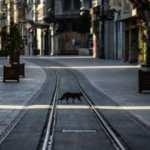 İçişleri Bakanlığı genelge yayımladı: Yabancı turistlere de yasaklandı!