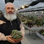 Rize'de çay bahçelerini söktü, kaktüs ekti! Salgını fırsata çevirdi, taleplere yetişemiyor