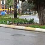 Tuzla'da 600 yıllık ağa&ccedil;, g&uuml;vercin ve arılara ev sahipliği yapıyor