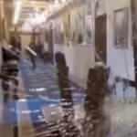 ABD Kongre baskınında vurularak öldürülen Babbitt'in vurulduğu an kamerada!