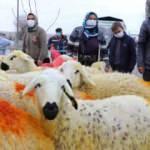 Kazada koyunları telef olmuştu! Vali anında harekete ge&ccedil;ti