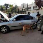 Otomobilde preslenmiş 31 kilo 100 gram toz esrar çıktı