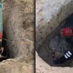 6 metrelik &ccedil;ukurdan b&ouml;yle kurtarıldı