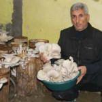 Bir torba ve bir kütük ile başladı şimdi siparişlere yetişemiyor