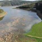 İstanbul'da doluluk oranları artıyor! 