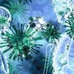 Moderna'dan a&ccedil;ıklama: Kovid-19 sonsuza kadar s&uuml;recek