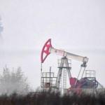 OPEC: Küresel petrol talebi artacak