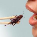 Uzmanından korkunç iddia: '20-30 yıl sonra böcekleri yiyeceğiz!'