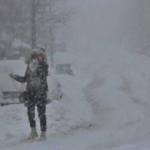 Karlıova'da 25 köy yolu, kardan kapandı