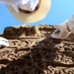 Milli arkeoloji enstitüsünün hazırlık çalışmaları tamamlandı