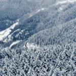 Artvin'in doğa harikası Kafkasör Yaylası