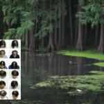 Kelliği ortadan kaldıran ilaç bulundu