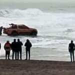 Kuma saplanan cip dalgaların arasında kaldı