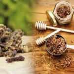 Propolis hastalıklara kalkan oluyor!