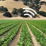 Ispanaklar mayınları tespit ederek e-posta gönderiyor