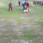 Antalya'da Pitbull saldırısı kamerada! Dehşet g&ouml;r&uuml;nt&uuml;ler...