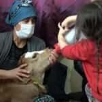 Prematüre doğan buzağıya 'yaşamaz' dediler! Biberonla besleyip beşikte yatırarak büyütüyor