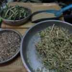 Şifalı bitki 'kekik' kaynatıldığında doğal dezenfektan oluyor!