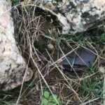 Ter&ouml;ristlerin araziye tuzakladığı patlayıcı imha edildi