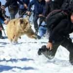 Bir anda geriye d&ouml;nd&uuml;! Korku dolu anlar!