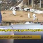 Hollanda kanalı dünyaya Türkiye'yi örnek gösterdi