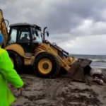 Kuşadası'nda denizden bacakları bağlı, kulağı ve boğazı kesilmiş sığır çıktı! 