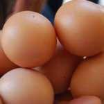 Tavuk yumurtası üretimi geçen yıl azaldı