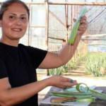 Yüzündeki alerjiyi geçiren bitkiyi üretmeye başladı! Şimdilerde paraya para demiyor