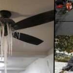 ABD'de g&ouml;r&uuml;lmemiş felaket! Eyaletler resmen dondu, onlarca &ouml;l&uuml; var