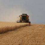 Tarım-ÜFE aylık ve yıllık bazda arttı
