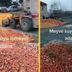 Çürük portakallarla meyve suyu yapıldığı iddia edilmişti. İşin aslı ortaya çıktı