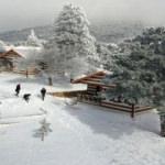 Günübirlik tatilin yeni rotası: Spil Dağı Milli Parkı