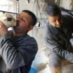 Hatay'da bir öğretmen uzaktan eğitim sürecinde koyun çiftliği kurdu!