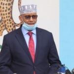 Somali'den BAE'nin açıklamasına sert tepki: Libya ve Yemen gibi olmamızı istiyorlar