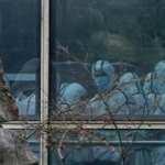 Koronavirüs insanlara nasıl bulaştı? DSÖ 4 ihtimali paylaştı