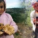 Bu mantar bir başka: Yağmur sonrası toplanıyor, kilosu 40 TL'ye satılıyor!