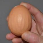Yumurta üzerindeki Allah ve Muhammed lafzı görenleri şaşırtıyor