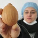 Bilecikli aile yumurtanın üzerinde gördükleri “Allah” ve “Muhammed” lafzı karşısında şok oldu