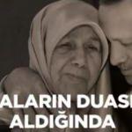 AK Parti'den Başkan Erdoğan'a doğum günü sürprizi!