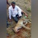 Hindistan'da bir adam ailesine saldıran leoparı elleri ile öldürdü!