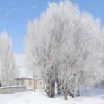 T&uuml;rkiye'nin en soğuk il&ccedil;esi &Ccedil;aldıran!