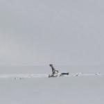 Bitlis'te düşen helikopterin enkazından ilk görüntüler