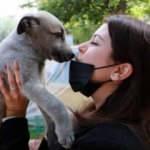 Evcil hayvan sahipleri dikkat!  Uyarı geldi...