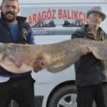 Görenleri hayrete düşüren balık!
